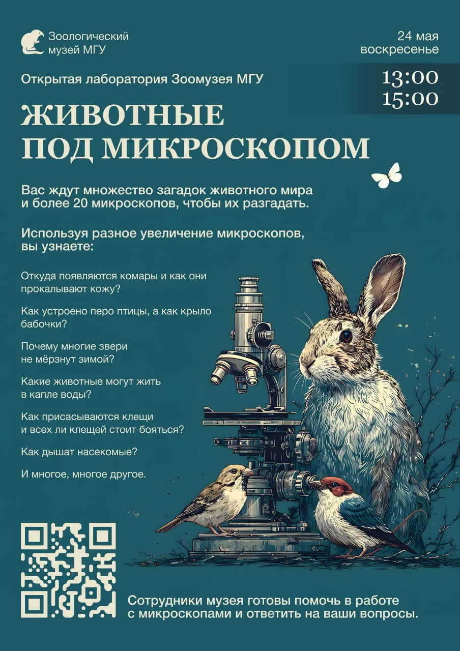 🔬 Открытая лаборатория «Животные под микроскопом» в Зоомузее  🗓 24 мая с 13:00 до 15:00  🧒 Для детей