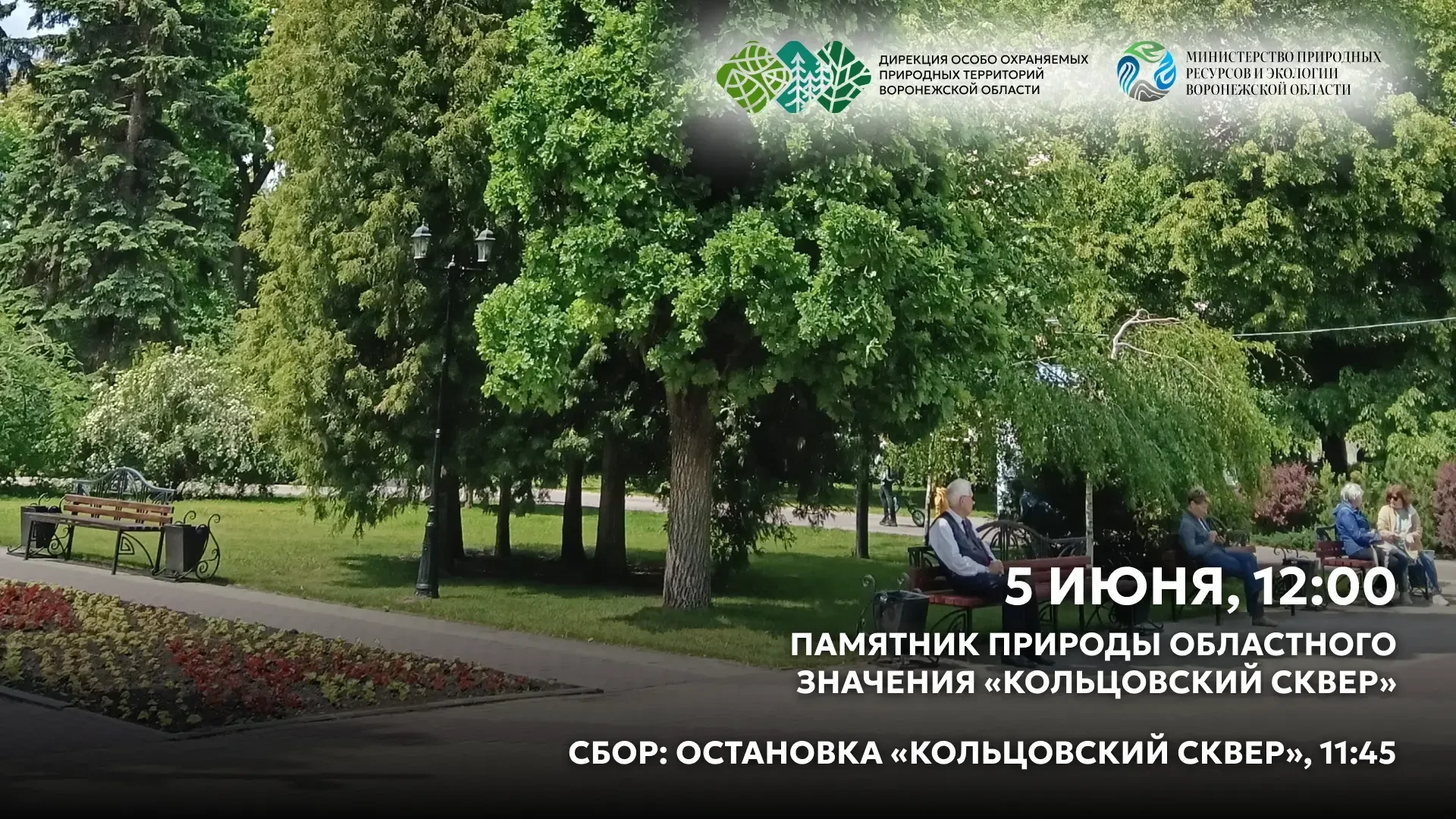 Ну, и завершает нашу тройку экскурсий прогулка по памятнику природы областного значения...