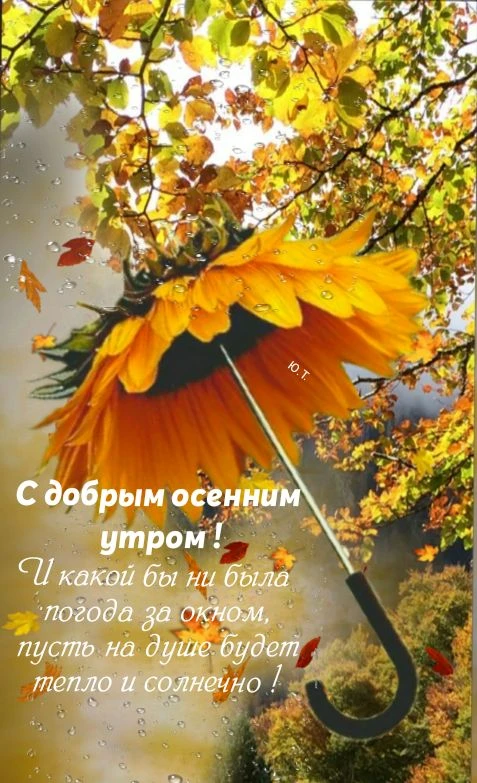🌤Доброе утро, Нижний!