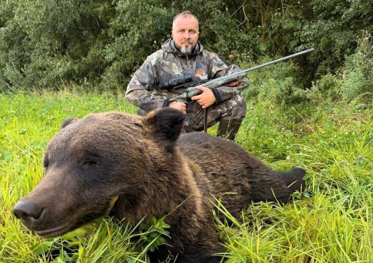🐻🍯 В Нижегородской области разрешили отстрел бурых медведей — мера связана с участивш...
