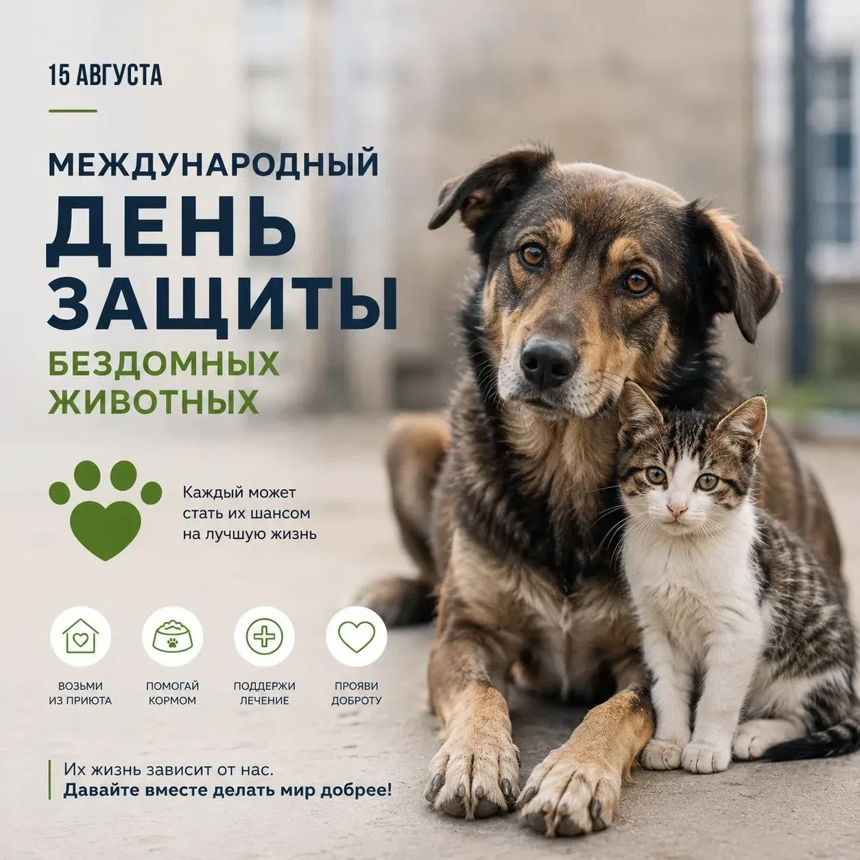 15 августа — Международный день бездомных животных🐈🐕