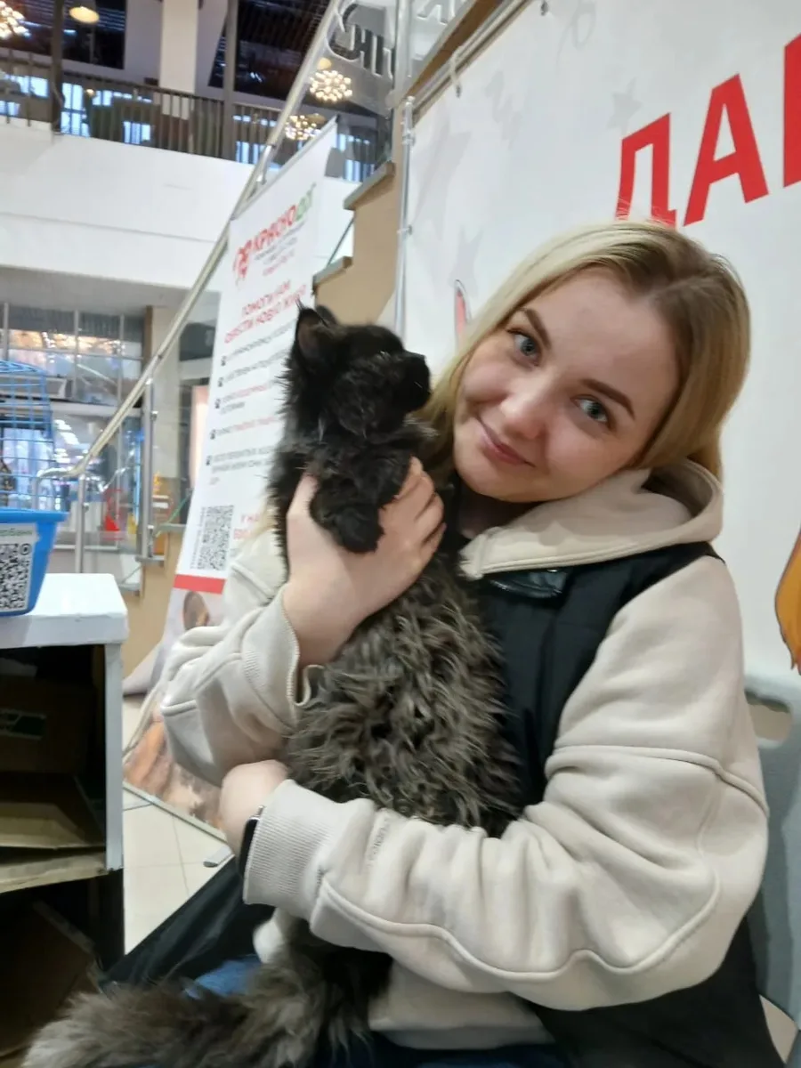 🙌 Друзья, очень рады поделиться результатами совместной акции с приютом «КрасноДог», к...