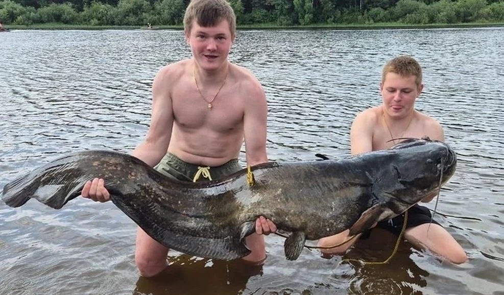 😳 Сома размером с акулу поймали в 200 км от Вологды

В Рыбинском водохранилище, недалеко от русла р