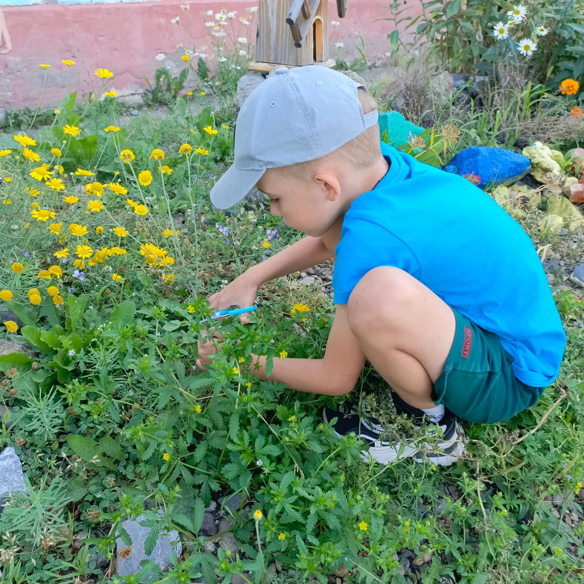 Лето в детском саду: от прогулки к живой аппликации. 🌸🌼🌻🌺🏵️

✨Лето — это не просто время года, 