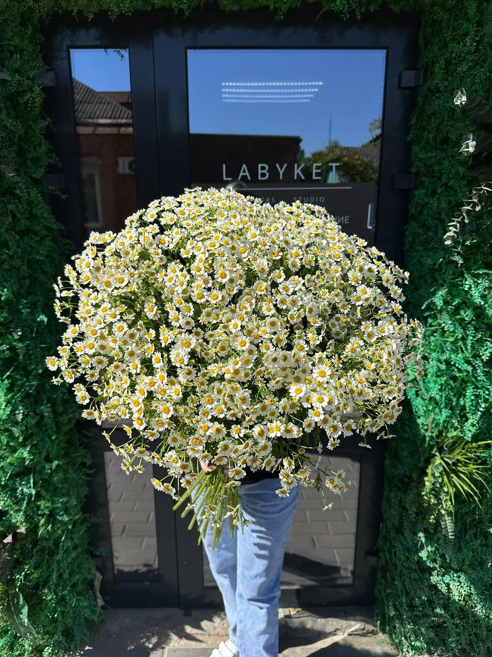 🌼 Полевая ромашка — цветок, который не пытается быть роскошным, но всё равно покоряет ...