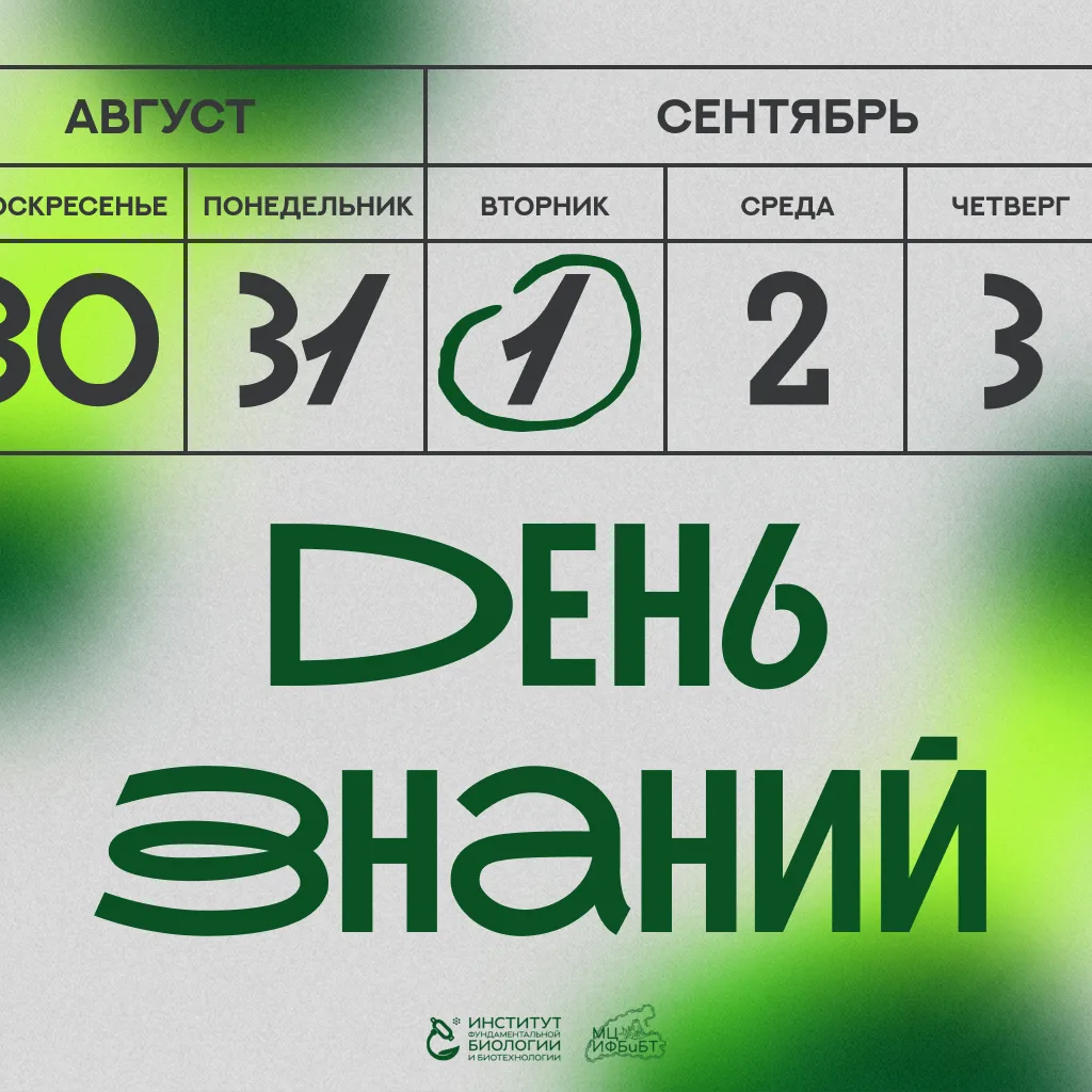 1 сентября 💚