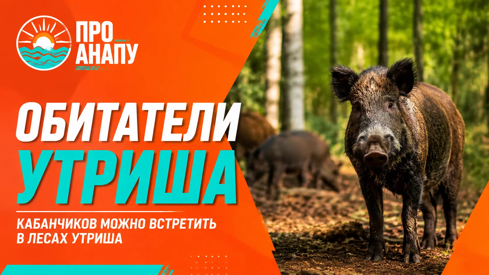 Обитатели Утриша