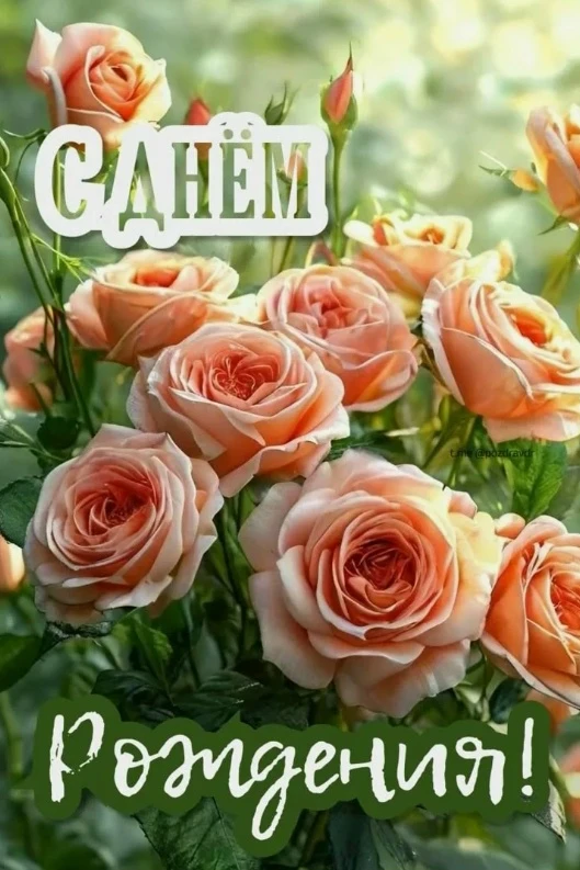 #ВдохновениеПоздравляет 
 
🎂 Сегодня коллектив комплексного центра поздравляет с Днем рождения Елен