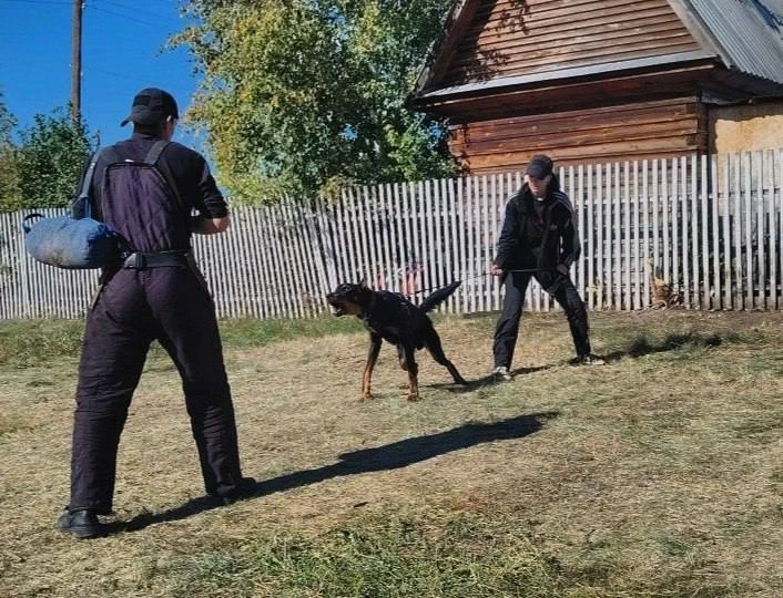 Недавно Ульяна и Корсар провели 4 насыщенных дня в лагере фигурантов.🐕‍🦺
