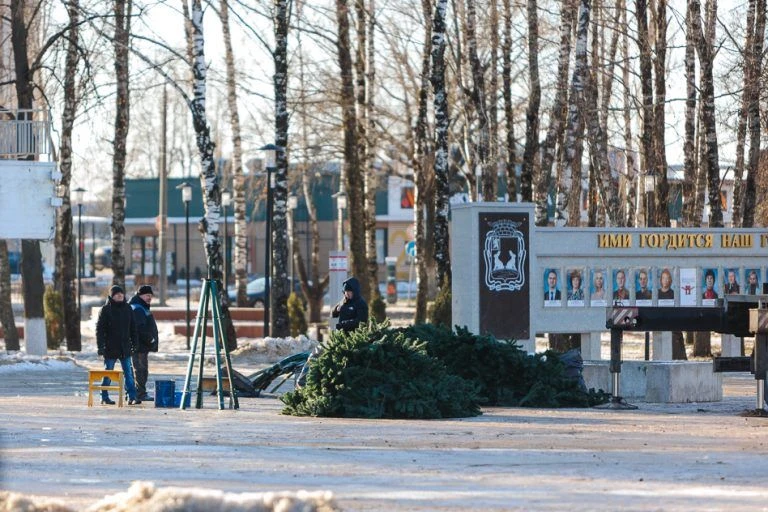 🌿 Во Владимире объявили закупку новой новогодней ели за 12,5 млн рублей. Причина — про...