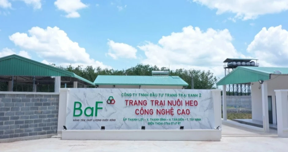 Вьетнамская корпорация BaF планирует построить высотный свинокомплекс

Портал промышленного свиновод