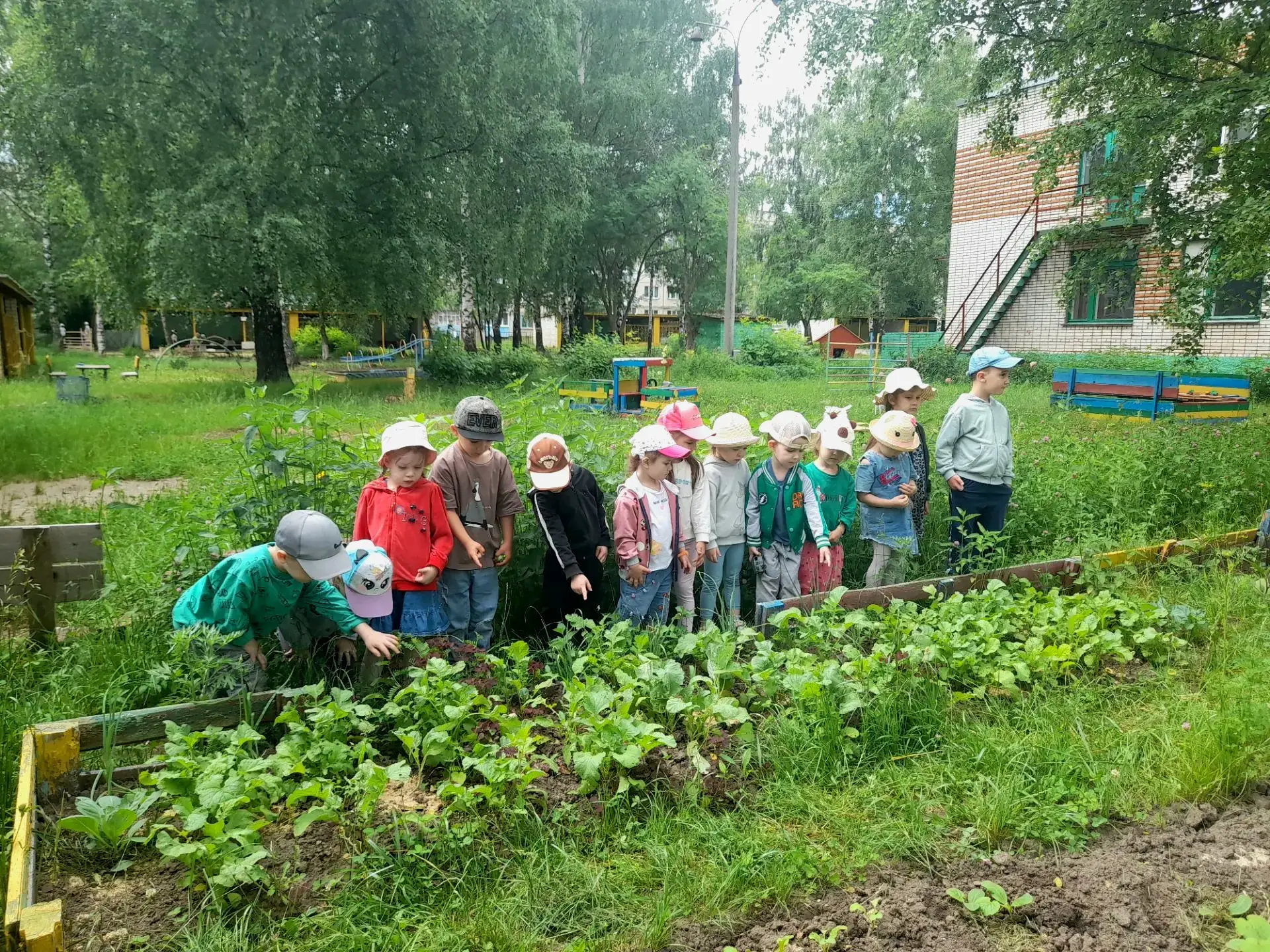 🌿 Экскурсия в мини‑огород для #малышей_крепышей34!

Сегодня наши ребята из группы "Дружные ребята" 