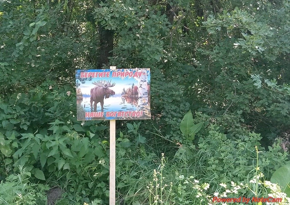 САУ РА «Адыгейская лесопожарная охрана» продолжает проводить мероприятия по установке и размещению с