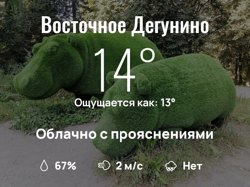 Что с погодой в Восточном Дегунино?