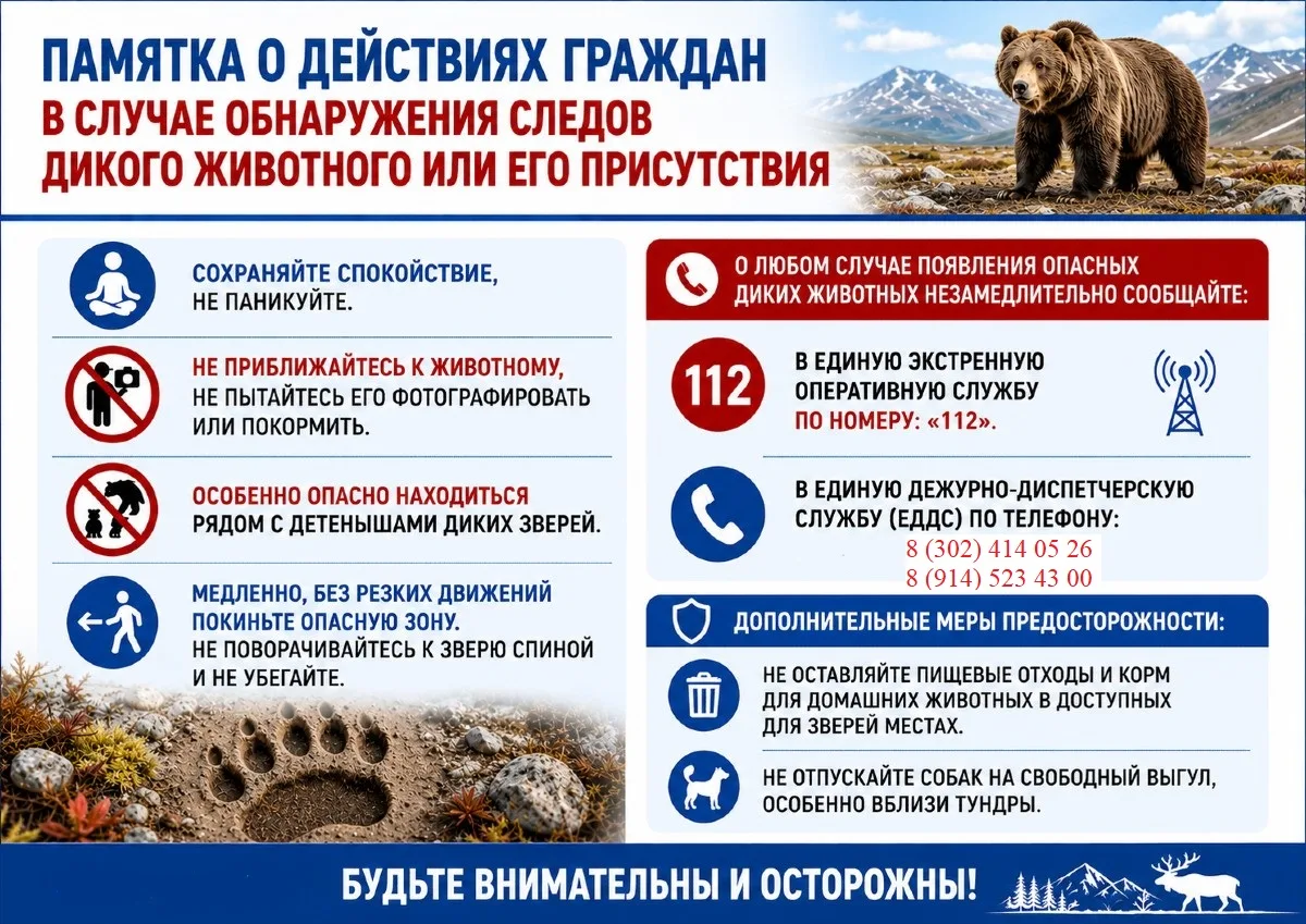 ‼️Местные власти и службы информируют жителей о повышенной вероятности выхода диких жив...