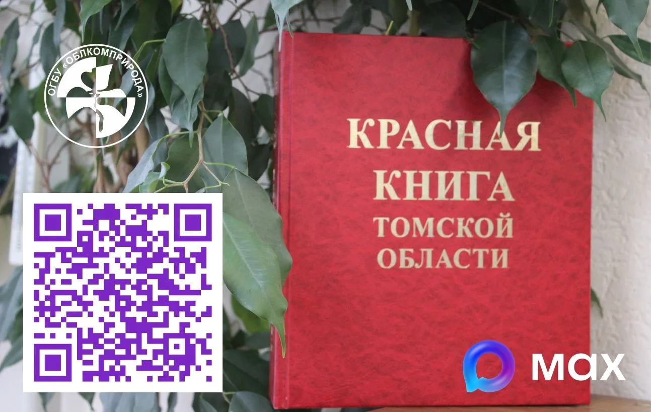 🍀Мы провели второй розыгрыш и объявляем победительниц!