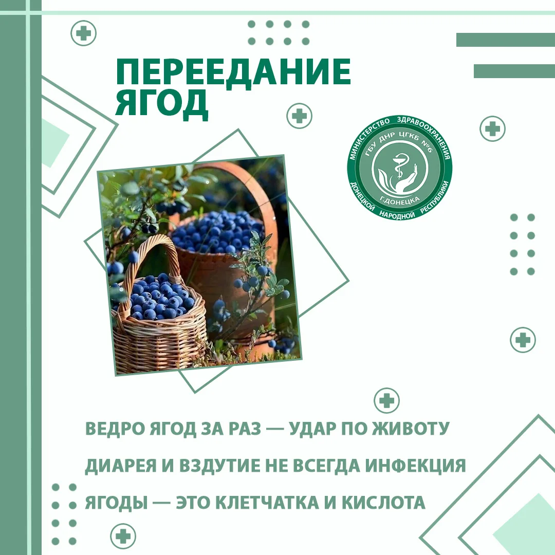 🌞🩺 Сезон и здоровье. Дважды в неделю о главном