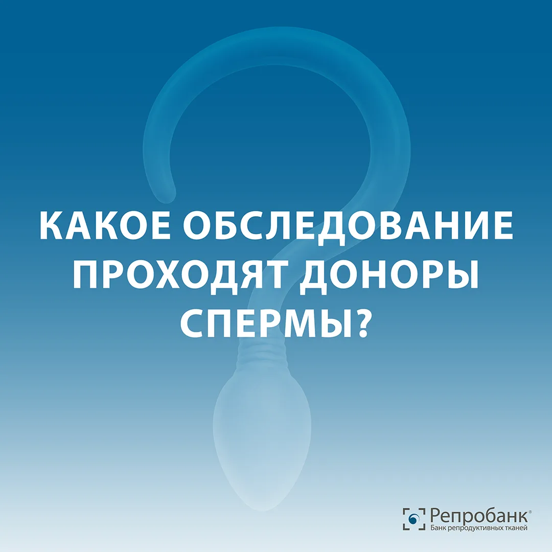 🔞Какое обследование проходят доноры спермы?