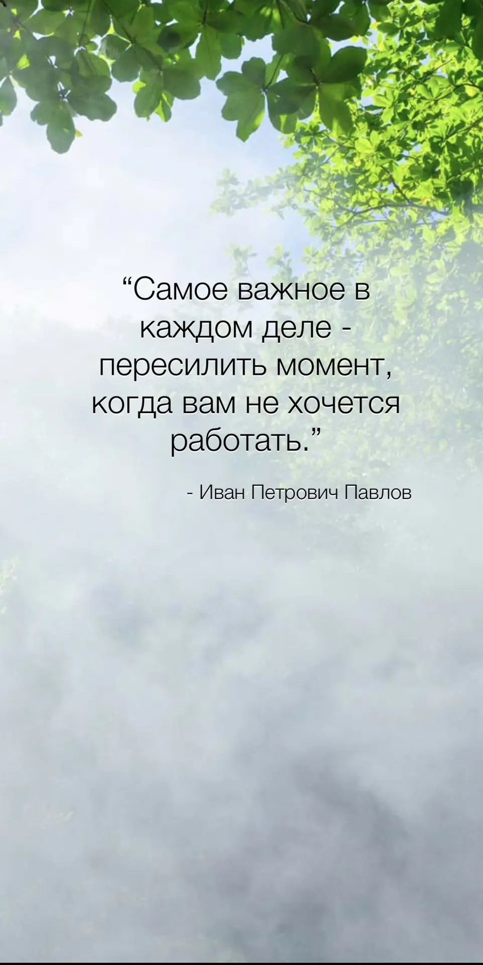 #цитатадня