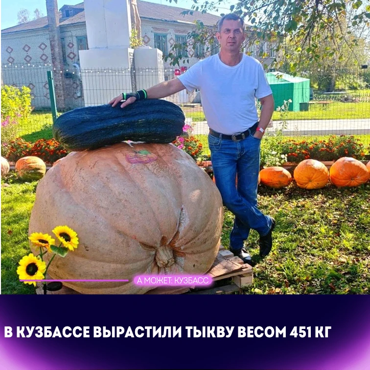 🎃 В Кузбассе вырастили тыкву весом 451 кг