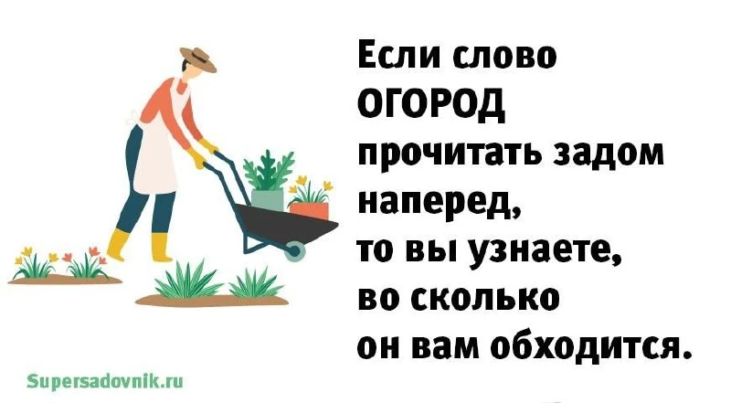 Немного юмора.