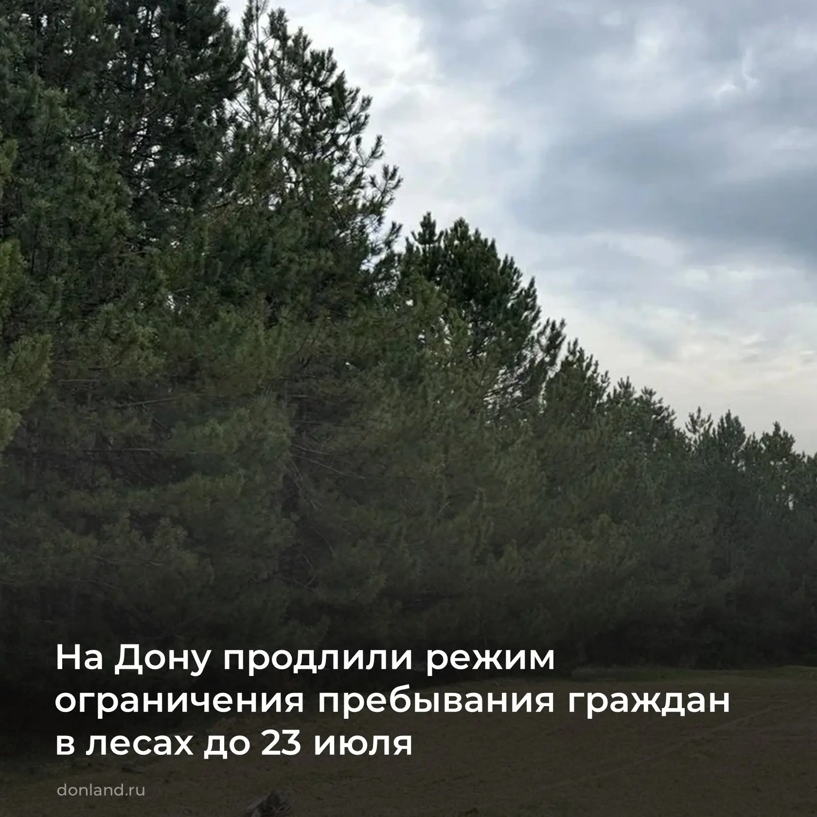 🌲 В Ростовской области ограничено ❌ пребывание граждан в лесах, а также въезд ⛔️ транс...