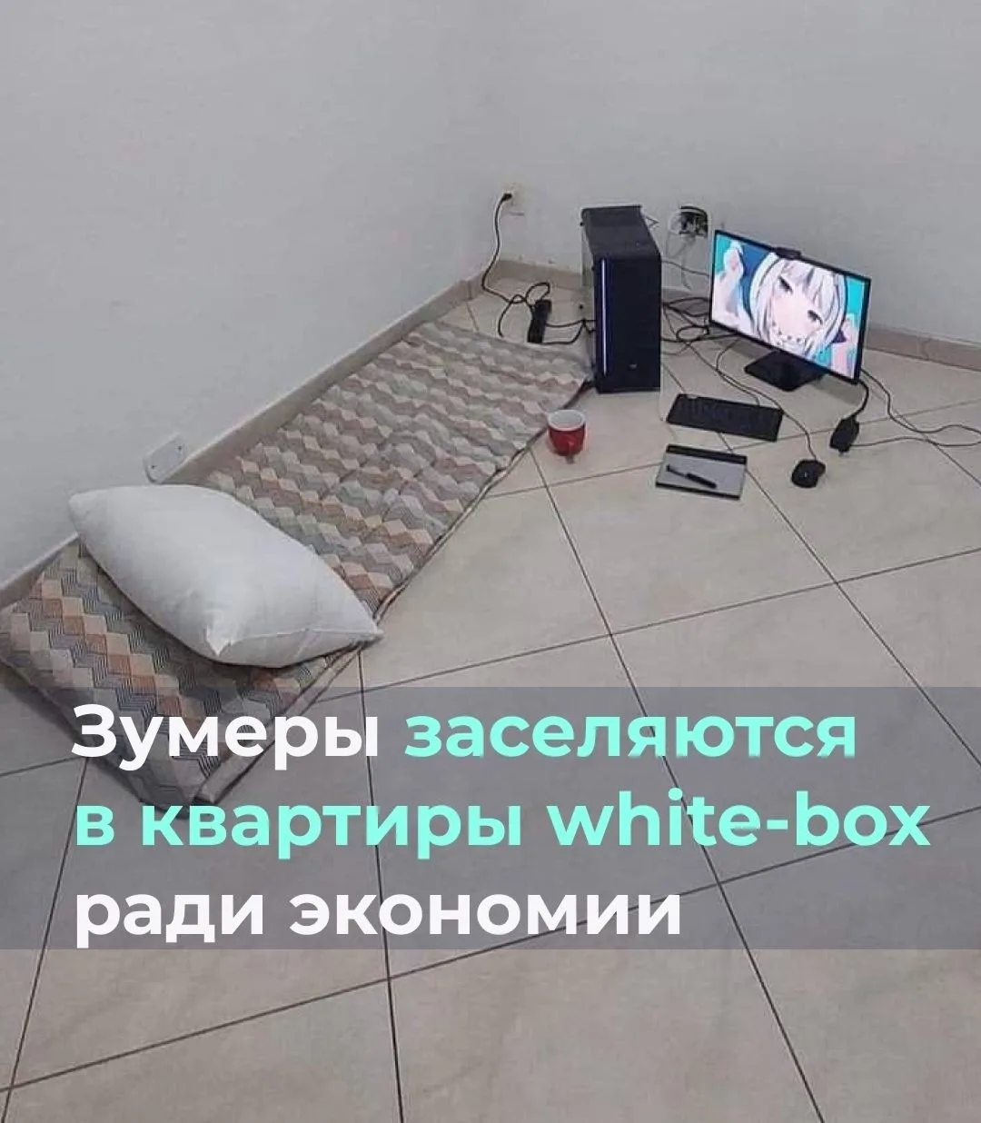 Зумеры придумали, как экономить на аренде жилья — заселяться в квартиры white-box.