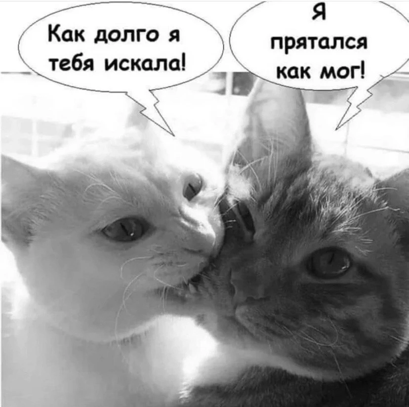 🇷🇺  Мы в МАХ : https://max.ru/public217683068