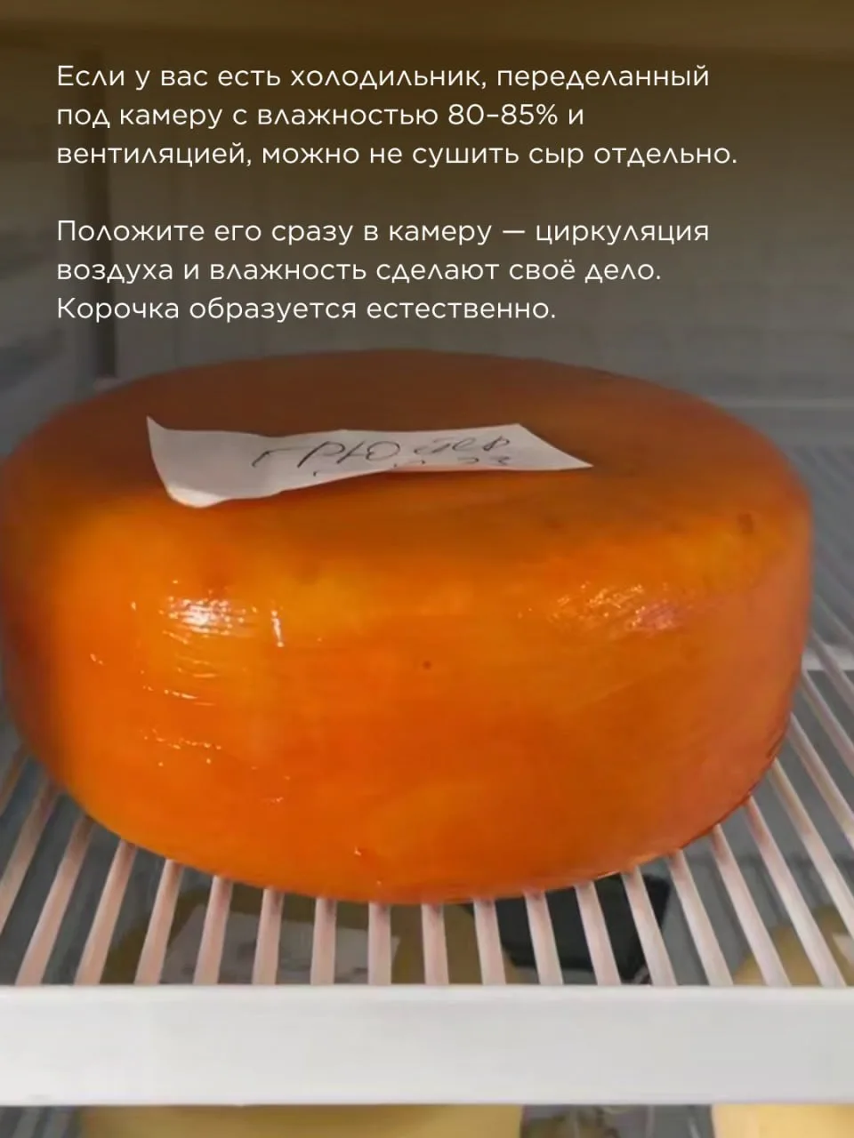 Изображение 2 к публикации «Школа Сыроделия Алексея Сыровера»