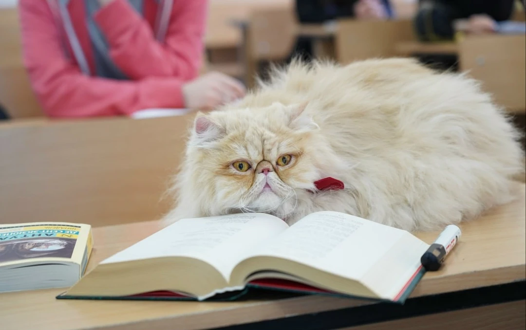 📚 Доброе утро!