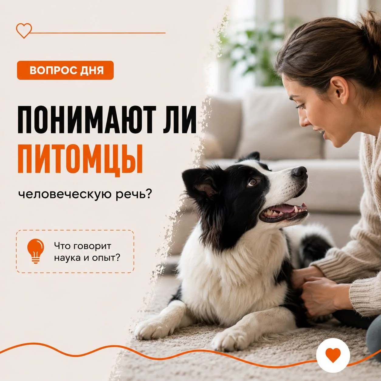 Понимают ли питомцы человеческую речь?