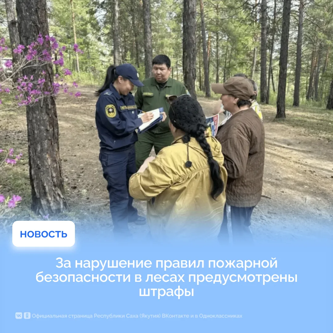 За нарушение правил пожарной безопасности в лесах предусмотрены штрафы

За нарушение правил пожарной
