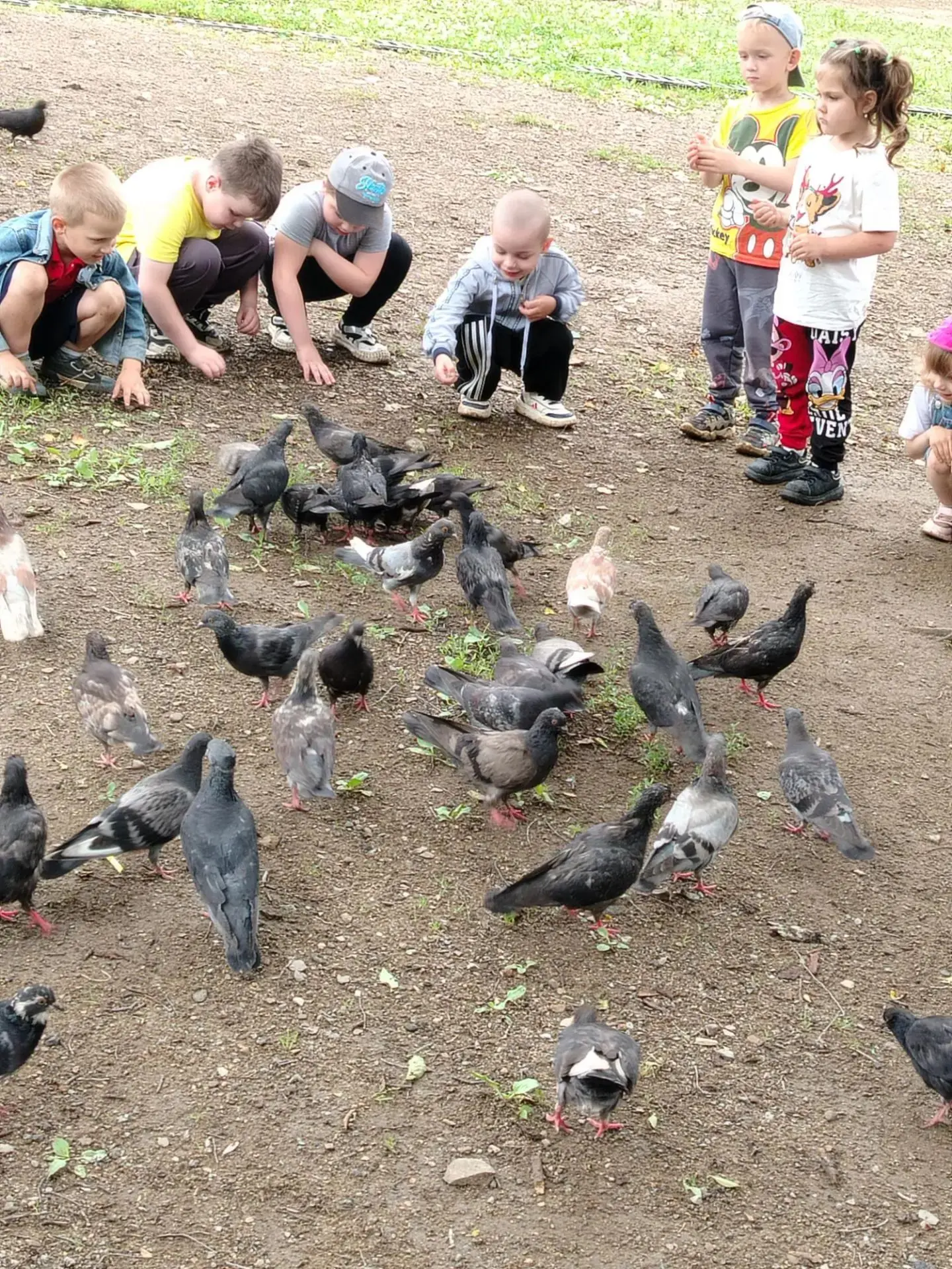 На прогулке у дверей мы кормили голубей🙃
Кормление птиц - одно из любимых занятий наших ребят. 🐦‍⬛