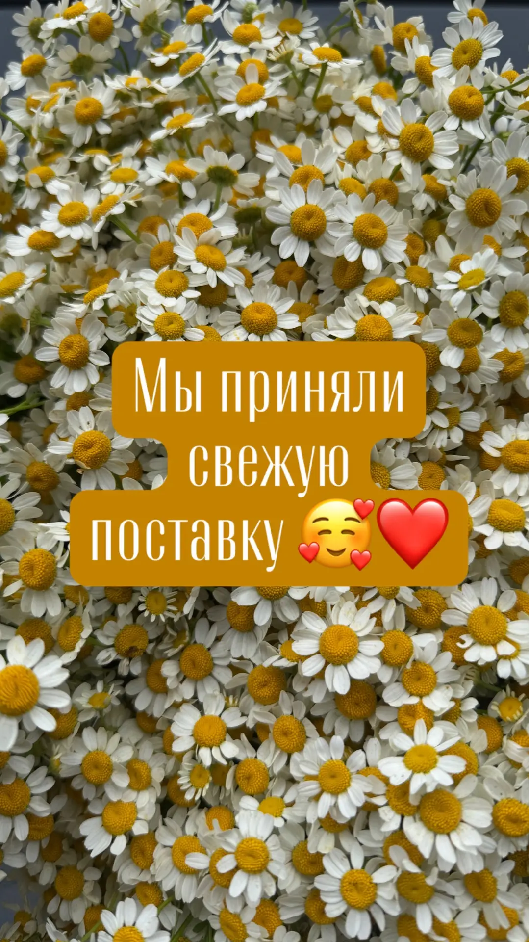 Мы приняли новую поставку 🔥