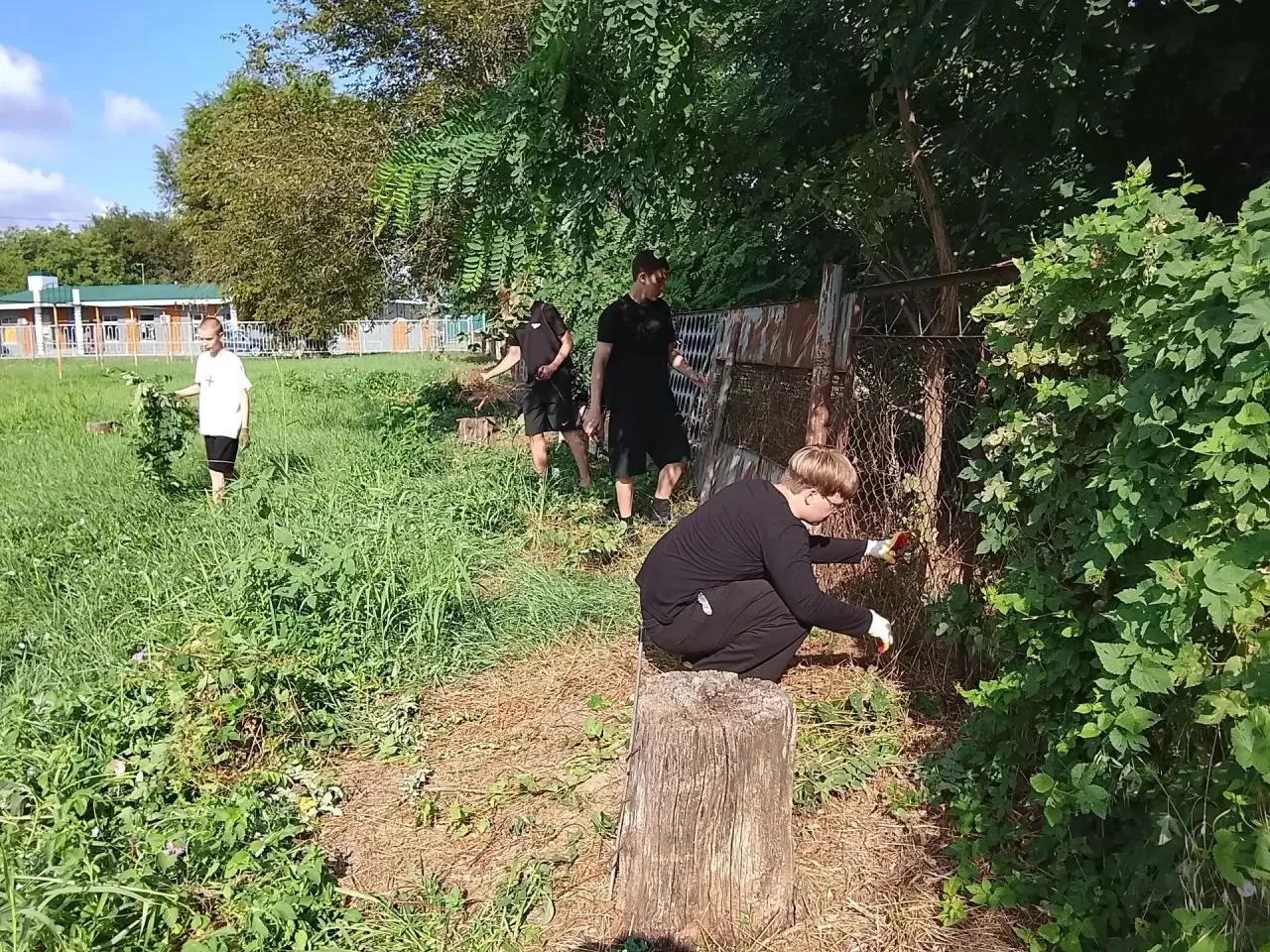 🌱День активных открытий: от чистой тропы до хитрых головоломок

29 июля 2026 года для учащихся 7-х 