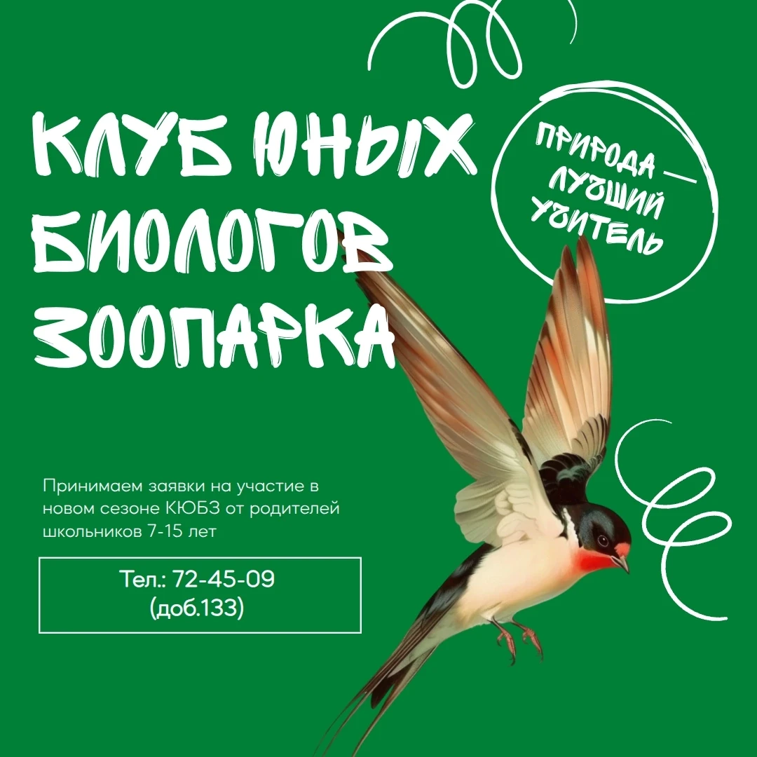 ⚡🐯 Дорогие родители! Если ваш ребенок любит природу, приглашаем его в наш «Клуб юных б...