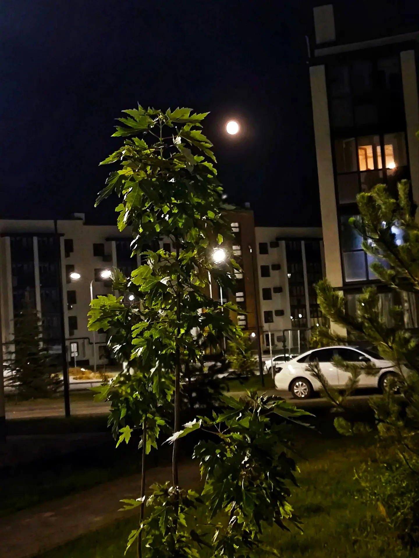 Вчерашняя "Оленья Луна" в небе над Советским районом

🌔Луна выглядит полностью круглой и яркой неск