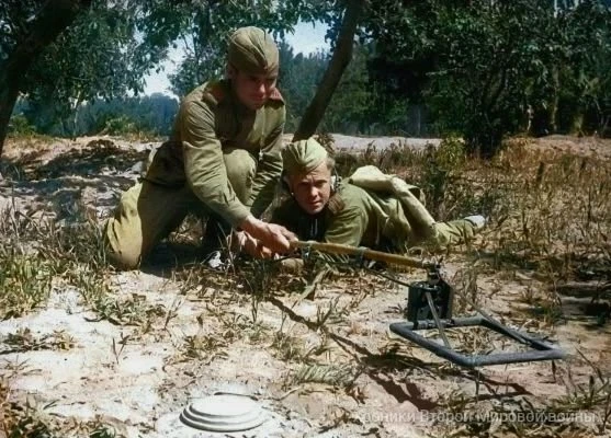 Сентябрь 1944 года. Советские военные с миноискателем ведут разминирование на освобождё...