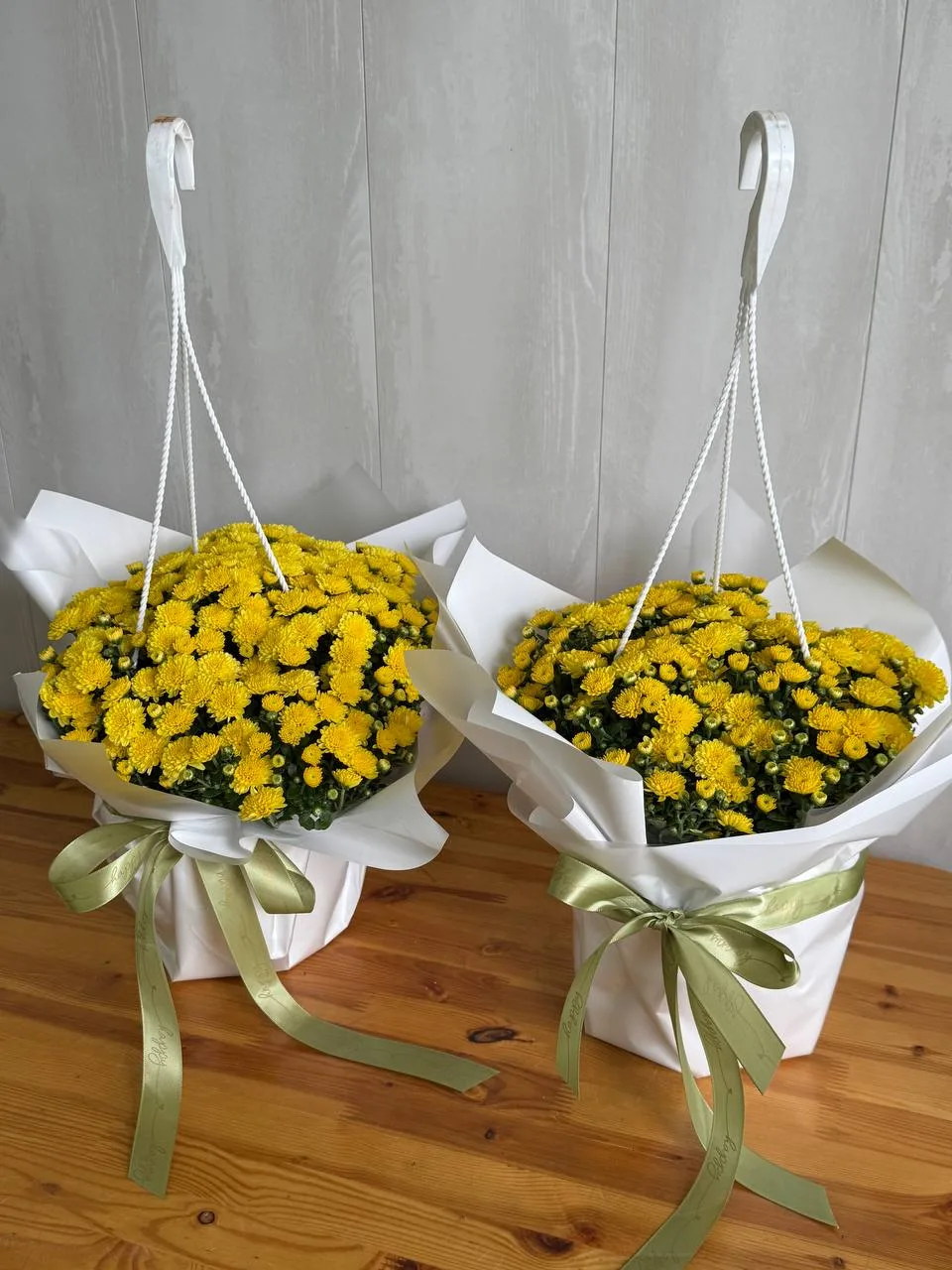 Хризантема в горшке - роскошный подарок 🎁 💛