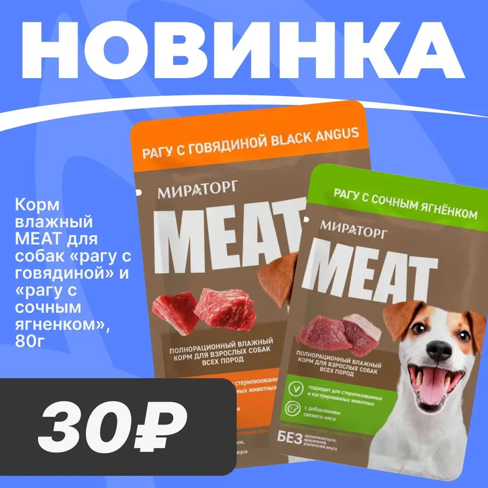 🐶 НОВИНКА!