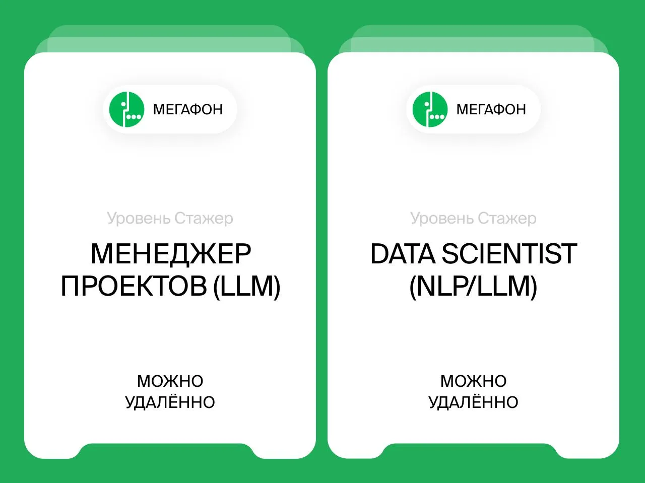 Стажер/Менеджер проектов (LLM)