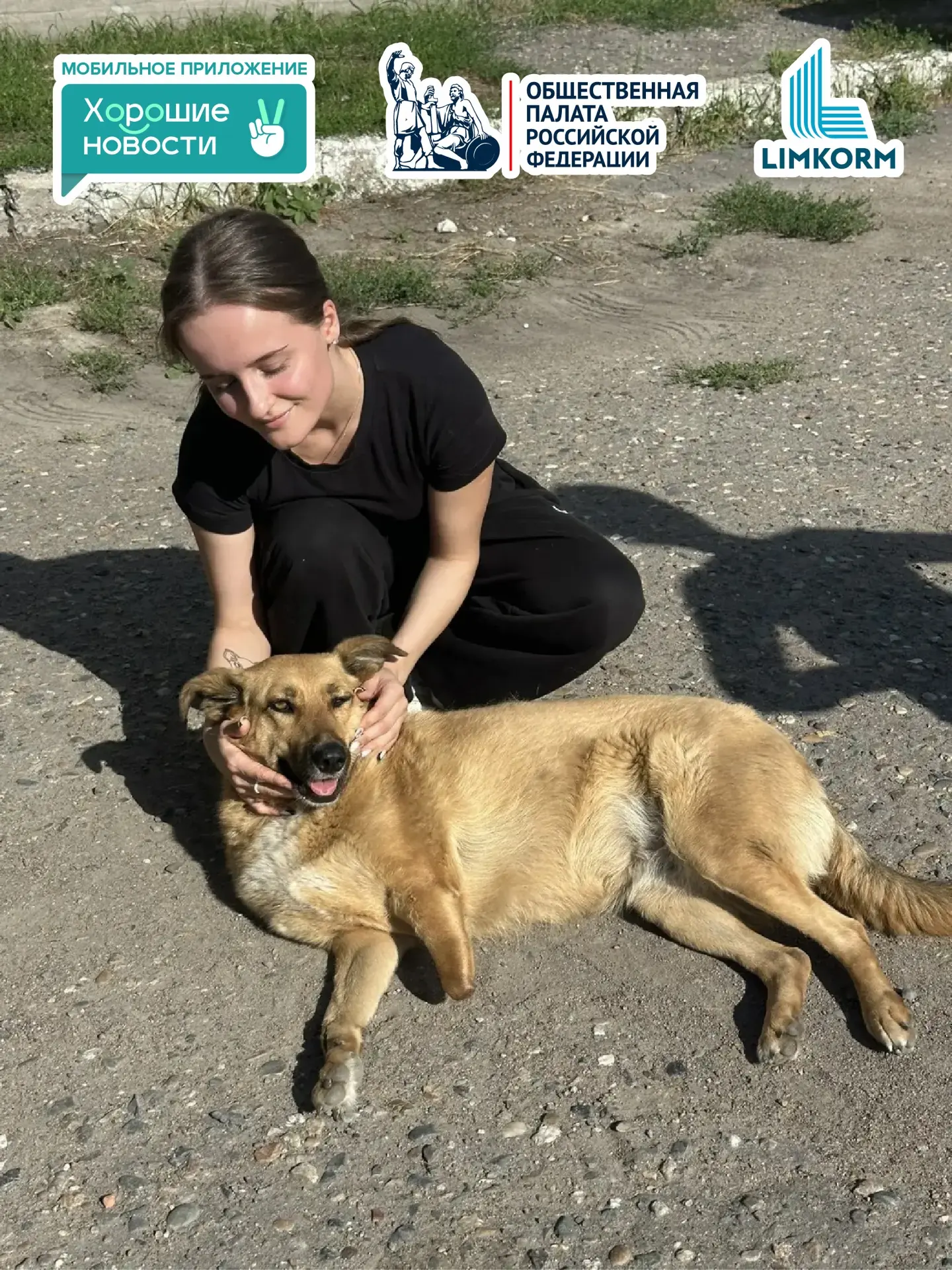 🐾 Победа добра: 500 кг корма для хвостатых подопечных приюта «Друг»!