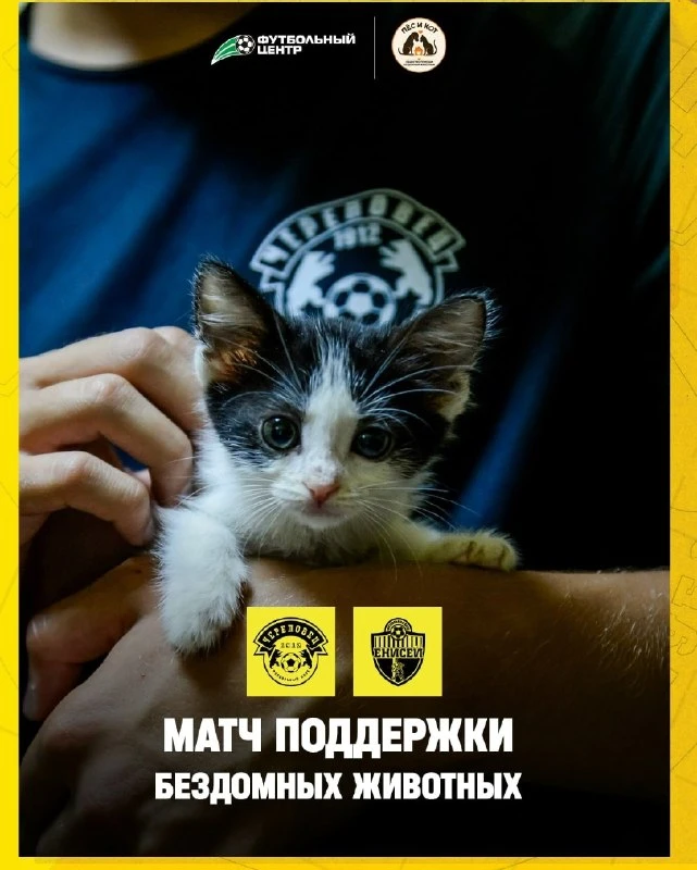 🏆 ФК «Череповец» посвятит матч 13 сентября поддержке бездомных животных