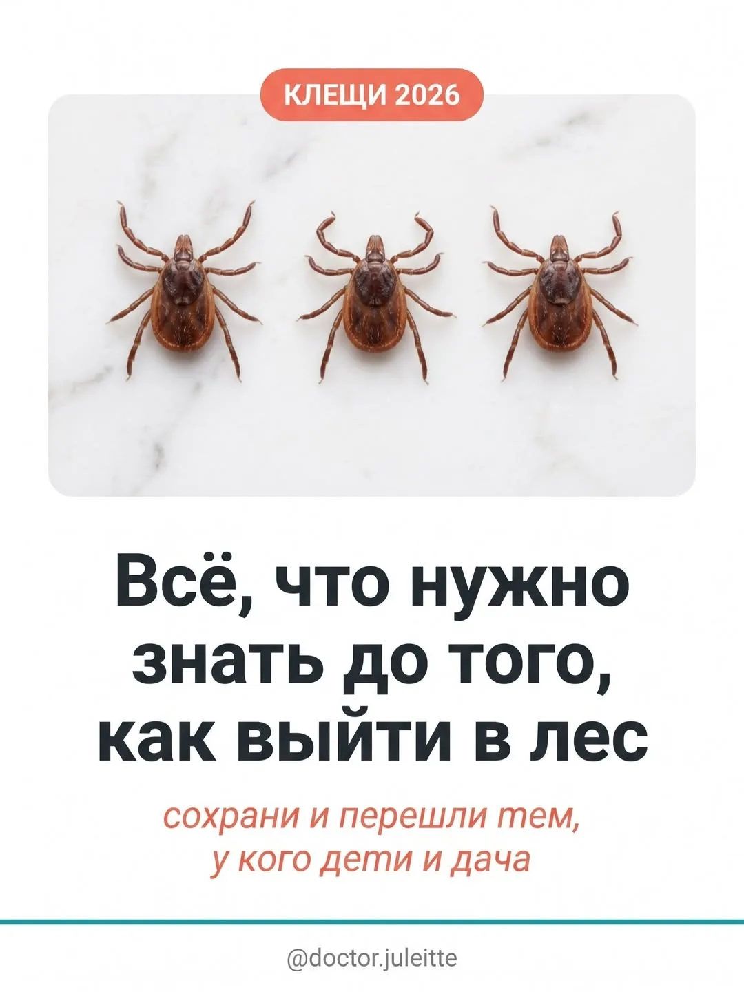 Сезон клещей уже начался. И большинство людей не знают главного - не того как выглядит ...