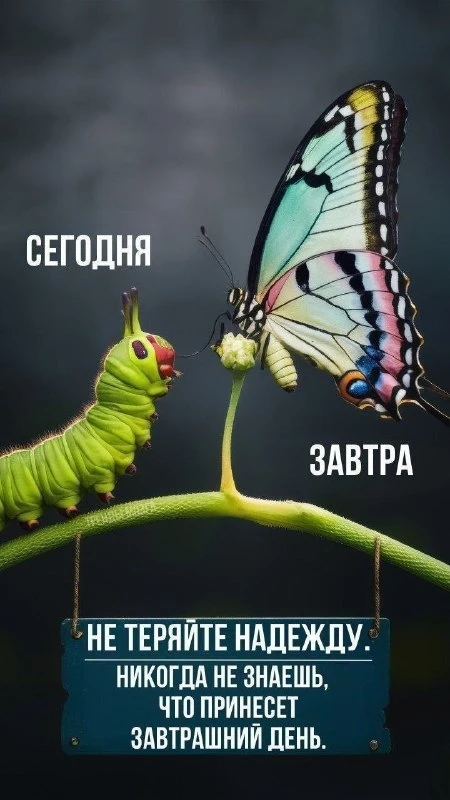 Открытки: подписаться ❤️