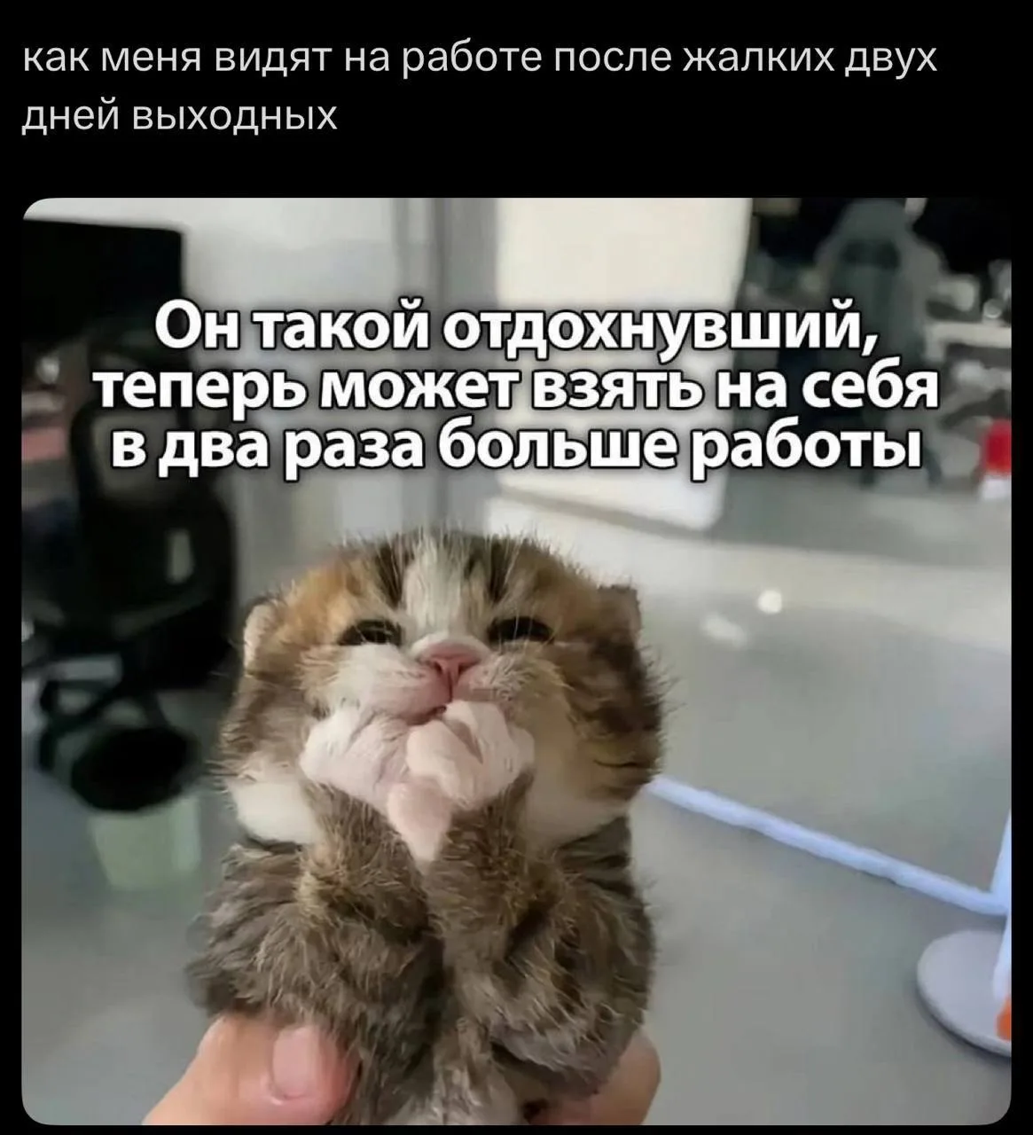 @office_story