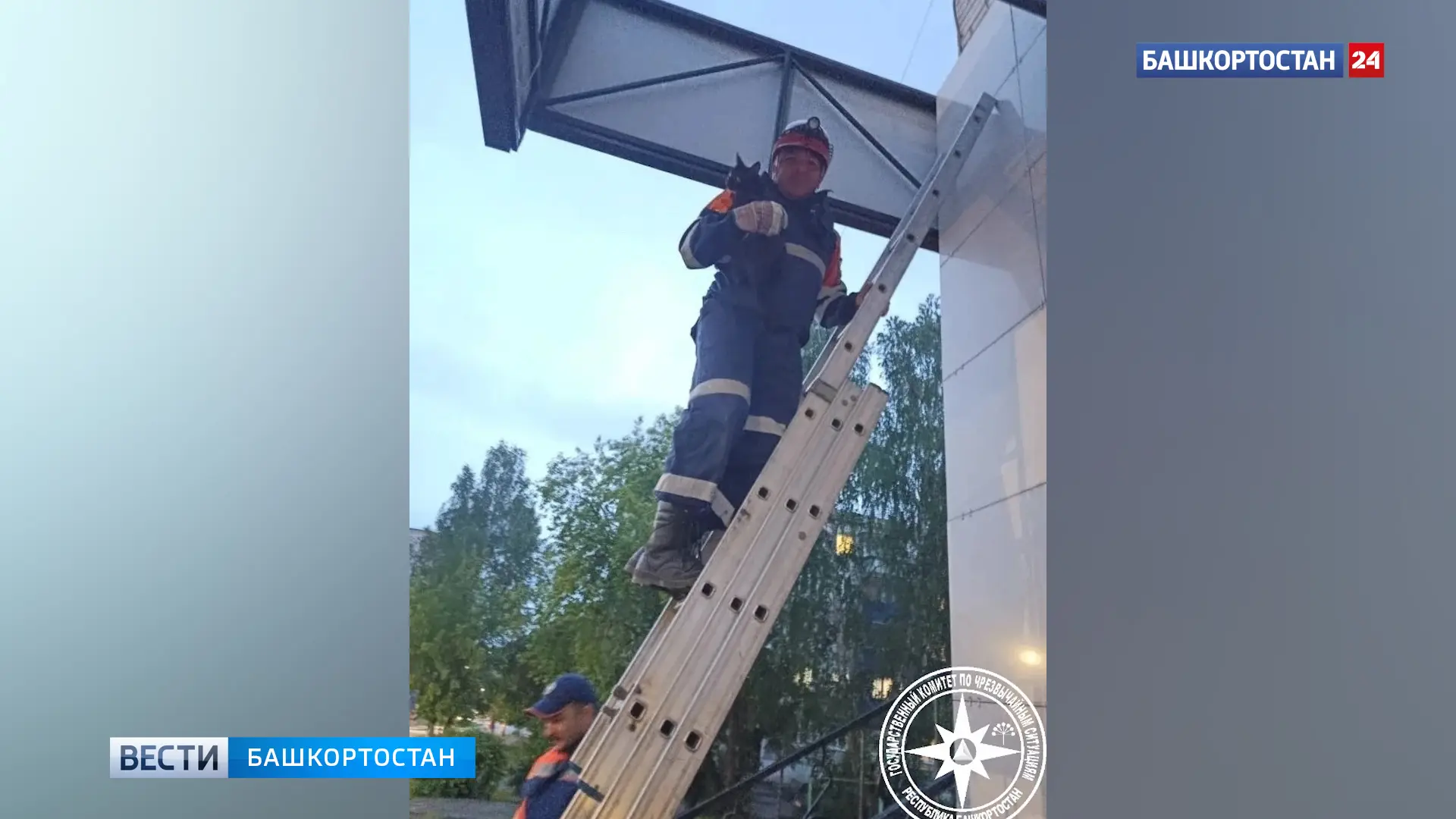 Спасатели МЧС Башкирии сняли кошку-альпинистку с рекламного щита

Сегодня произошла добрая история с