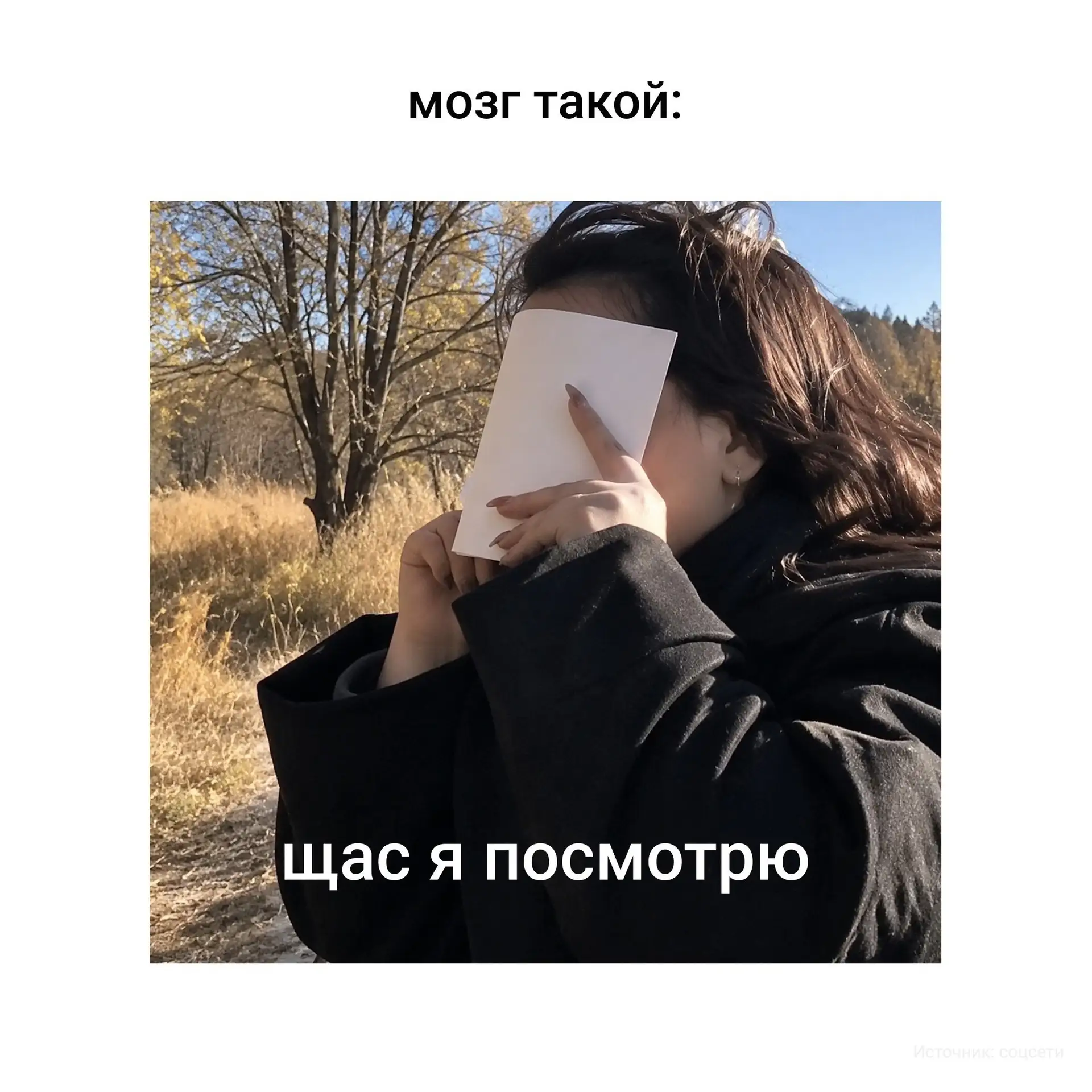 Наш мозг постоянно спорит сам с собой — всё ради того, чтобы мы видели мир целиком