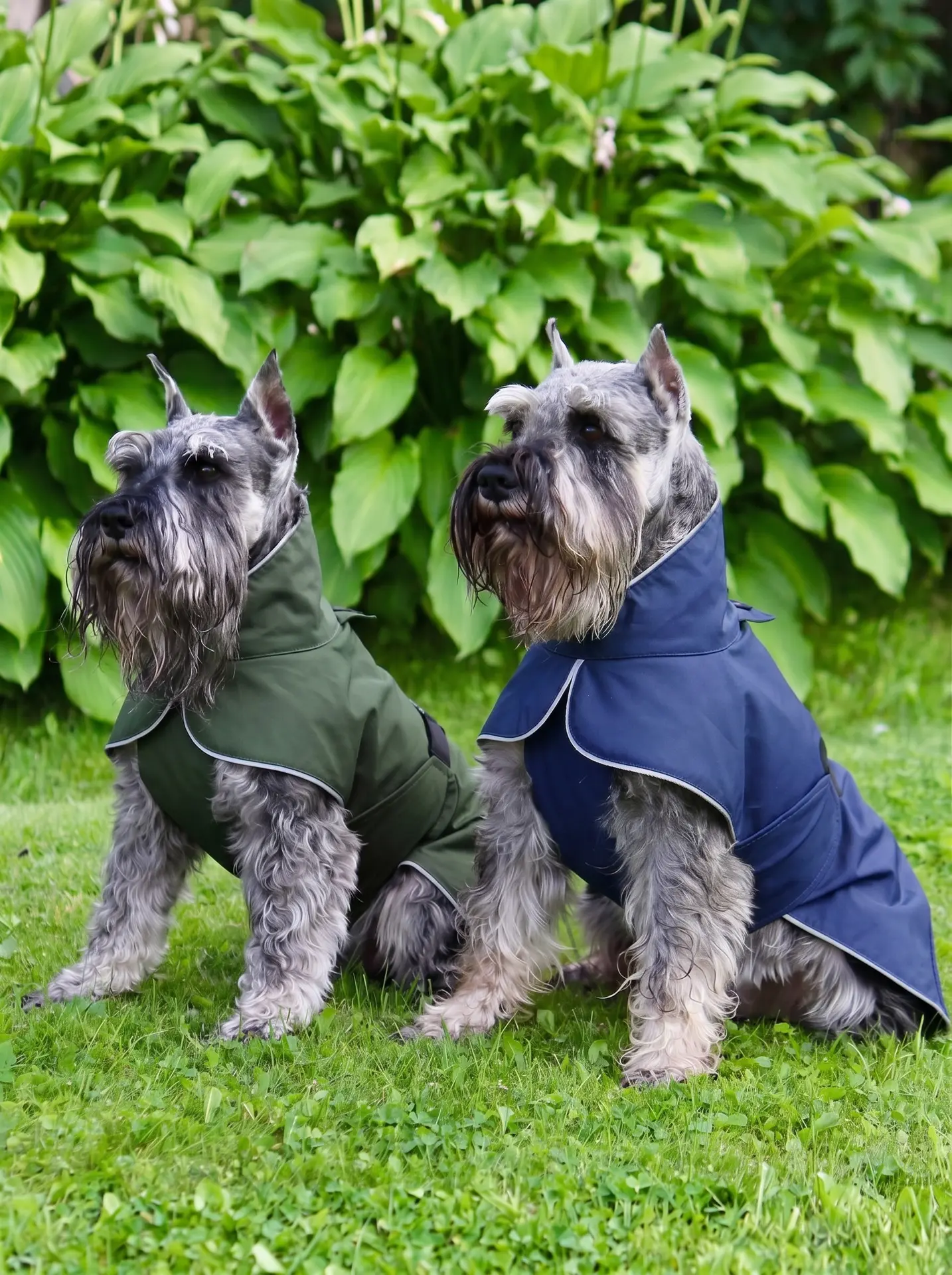 Наши парни в наших тканях 🐕‍🦺