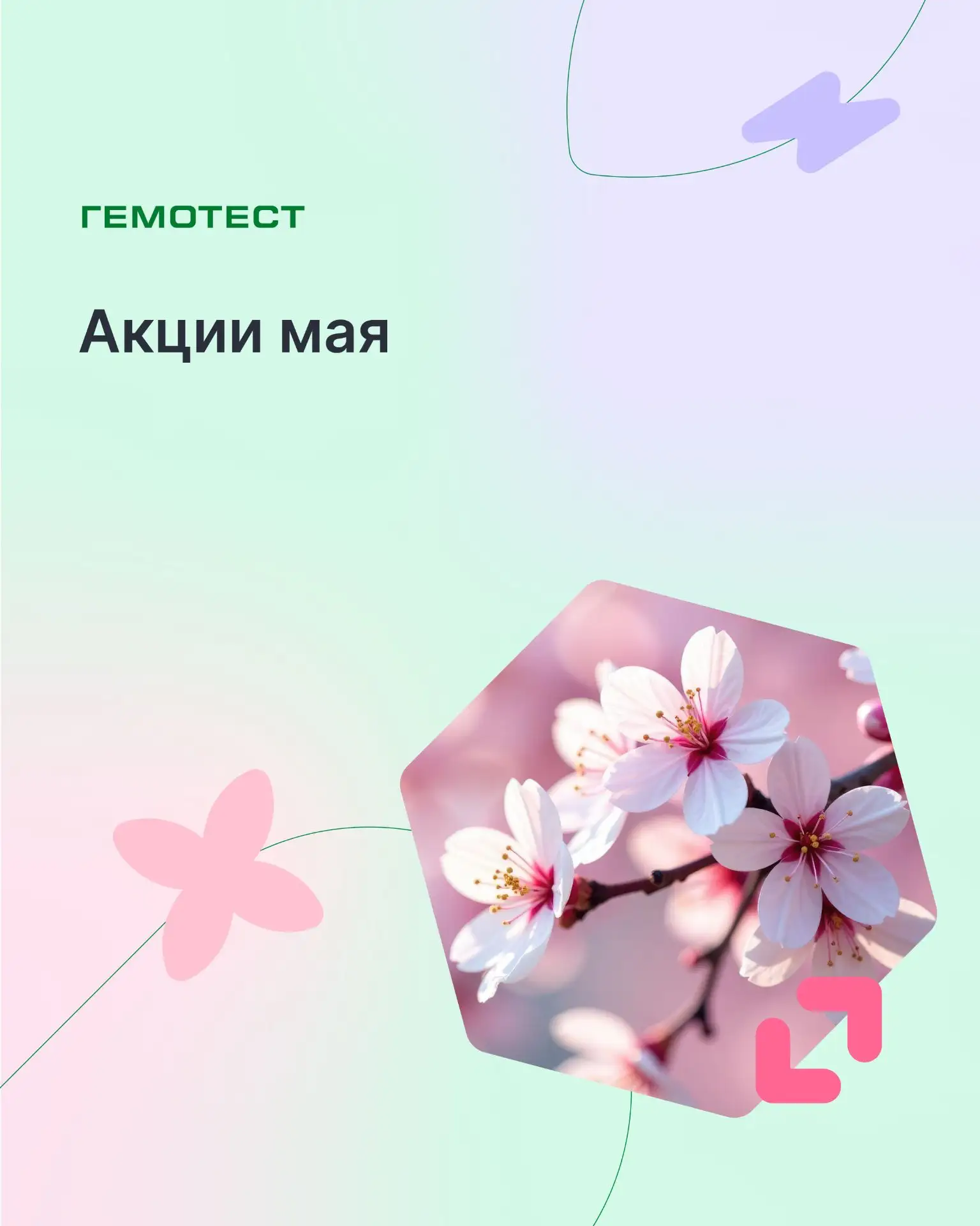 🌿 Акции мая